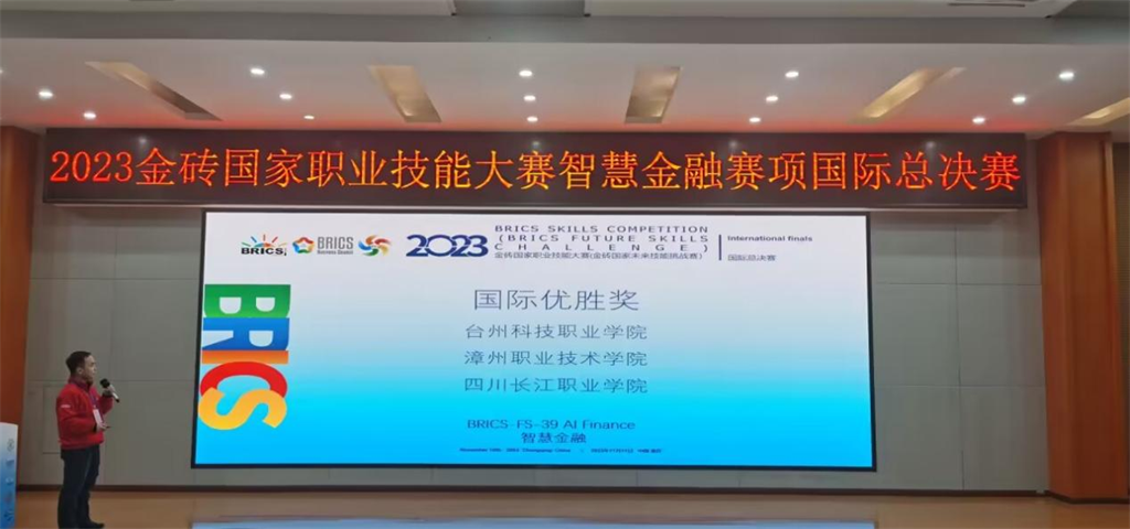 1699865445004053011.png 国际优秀奖.png